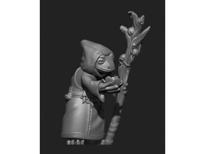 druid shaman grung frog creatures 3dmodel 3d printing animal anthropomorphic character creature dnd miniature dungeons dragons fantasy forest furry mage model monster pathfinder mini rpg sculpture sorcerer staff strategy game swamp tabletop toad warrior 3d print model - Mito3D