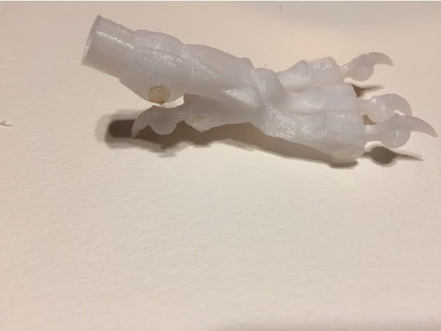 claw-filament-Gelenk Kreaturen artikuliert claw - Spielzeug 3D print model - Mito3D