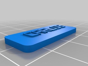 meine angepasste customizer-version des Gepäck-label v2 - Organisation kundengebundene 3d print model - Mito3D