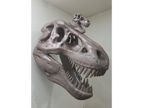 enorme t-rex cranio animali 3d print model - Mito3D