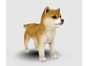 cão de filhote cachorro shiba inu low poly animais baixa contagem polígonos 3d print model - Mito3D