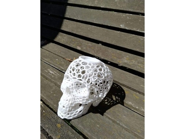 voronoi skull bank lid household money piggy 3D print model - Mito3D