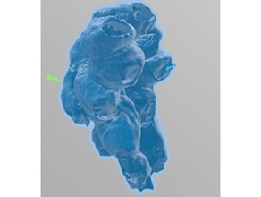 barnacle Kaya yapısı biyoloji akvaryum mercan deniz resif tuzlu su 3d print model - Mito3D