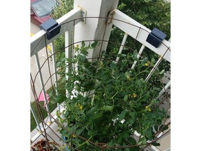 tomato cage buddy outdoor & garden apartment balcony corner bracket holder mount stand tomatoe 3d print model - Mito3D