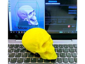 insan kafatası FK del von rudi biyoloji 3d print model - Mito3D