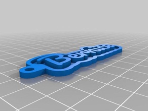 bernice llaveros personalizado 3d print model - Mito3D