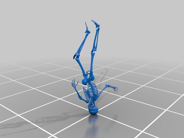 squelette personnes 3D print model - Mito3D