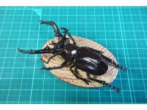 lucanus hermani animals 3d print model - Mito3D