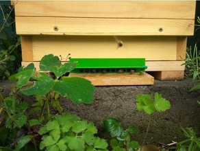 warr ramo ladrão de guarda hobby abelha colmeia a apicultura warre 3d print model - Mito3D