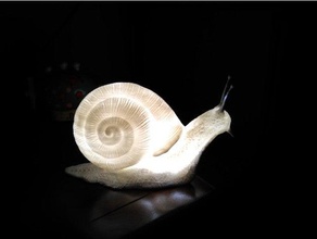 realistic big snail animals 3d print model - Mito3D