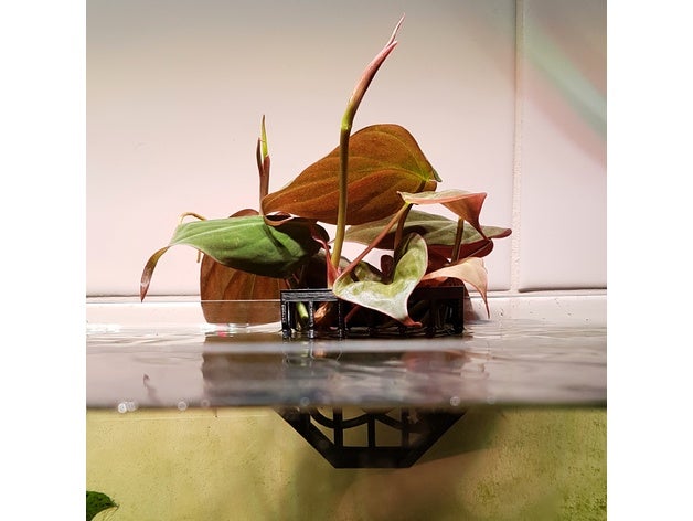 acuario plantas titular al aire libre y jardín el de la planta plantado tanque maceta 3D print model - Mito3D