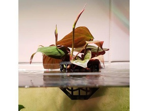aquarium plant holder outdoor & garden planted tank pot 3d print model - Mito3D