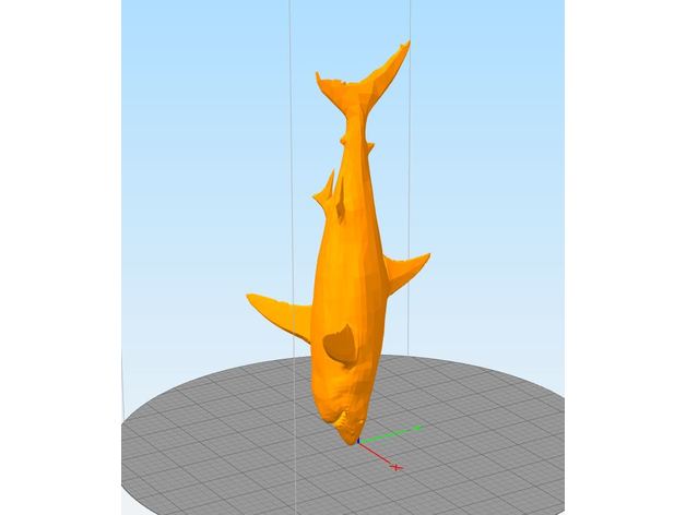 le requin animaux 3D print model - Mito3D