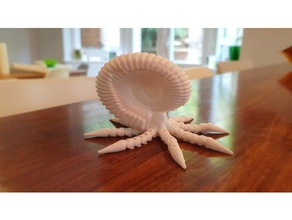 articulado, amonita animais articulada fósseis 3d print model - Mito3D