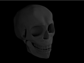 fun skull sculptures 3d print model - Mito3D