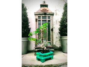 bonsai vaso de planta A impressão 3d pote árvore 3d print model - Mito3D
