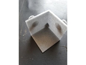 salzschnabel Küche und Esszimmer 3d druck karton ossilampe prusa salz 3d print model - Mito3D