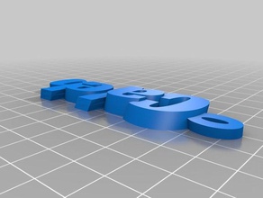 caleb keyring keyfob organization customized 3d print model - Mito3D