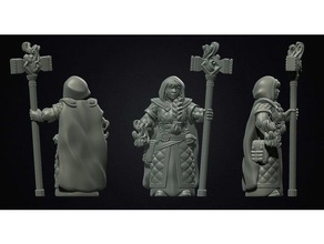 female dwarf mage priest people 3dmodel 3d printing character dnd miniature dungeons dragons fantasy model pathfinder mini minis rpg sculpture sorcerer strategy game tabletop gaming warlock 3d print model - Mito3D