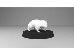 wombat vertraut dnd Miniatur 3d print model - Mito3D
