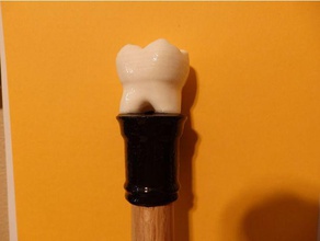 dentista libre de topper 7 la caña caminar palos senderismo dental odontología poste molar diente bastón para 3d print model - Mito3D
