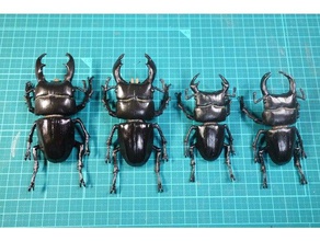 dorcus animals insect lucanidae stag beetle 3d print model - Mito3D