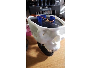 tomm's 3 axis talking skull props animatronic halloween prop 3d print model - Mito3D