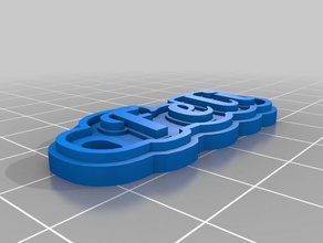 feli de porte-clés personnalisé 3d print model - Mito3D