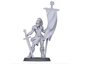 flagbearer games female knight miniature tabletop warrior woman 3d print model - Mito3D