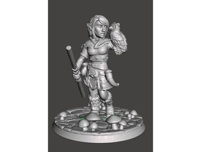 female gnome druid toy & game accessories 3d print model - Mito3D
