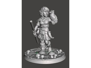 feminino gnome druida brinquedo & acessórios para jogos 3d print model - Mito3D