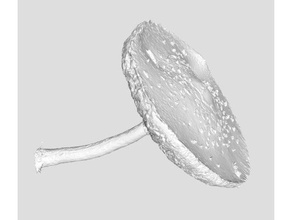 mushroom scans & replicas plant single 3d print model - Mito3D