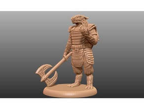dragonborn eldritch knight - tabletop miniature toys & games critical role dnd dragon dungeons dragons fantasy game gaming gloomhaven humanoid mini pathfinder rpg warhammer 3d print model - Mito3D
