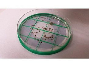 petri dish counting grid 90mm biology laboratory microscope stereoscope 3d print model - Mito3D