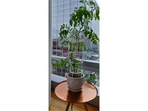 impianto colosseo all'aperto e giardino La stampa 3d giardinaggio di pomodoro urbano 3d print model - Mito3D