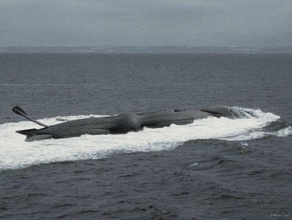 dsv seaquest props model submarine 3d print model - Mito3D