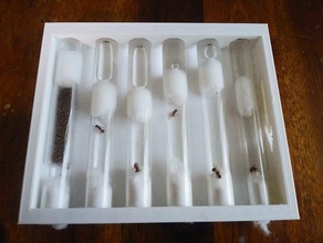 test support de tube la reine des fourmis L'impression 3d les 3d print model - Mito3D