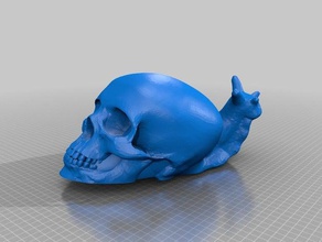 crâne de l'escargot art 3d print model - Mito3D