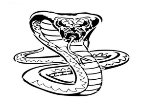 cobra stencil 2d art cold blood blooded reptile snake 3d print model - Mito3D