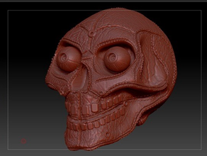 pelle del cranio sculture femminile umano 3d print model - Mito3D