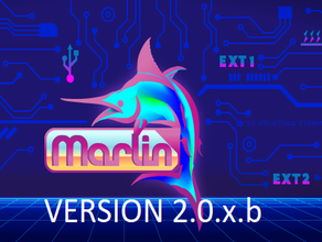 marlin 20xb firmware anycubic kossel lineal plus delta Las impresoras 3d 3d print model - Mito3D