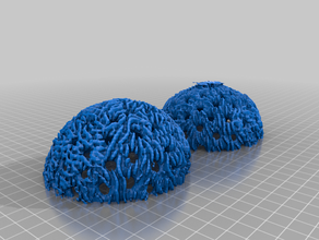 2 bilinmeyen polen biyoloji bitki 3d print model - Mito3D