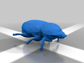 beetle sculture creatura dettaglio insetto modello la scansione piccola 3d print model - Mito3D
