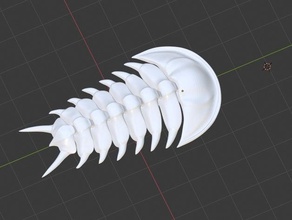 flexi trilobite animals animal cambrian flexible sea toy 3d print model - Mito3D
