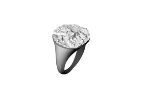 mt everest topographical ring - custom locations accepted rings geography hiking mountain mountains topography 3d print model - Mito3D