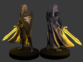 elf paladin miniature toy & game accessories 3dprintable drow dungeons dragons fantasy tabletop 3d print model - Mito3D