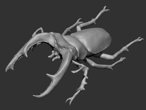 hexerthrius mandibularis animals insect lucanidae stag beetle 3d print model - Mito3D