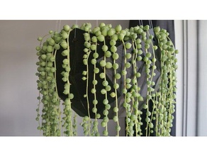 disdyakis planter decor hanging planter planter planter pot 3d print model - Mito3D
