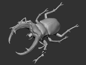 hexarthrius gergedan hayvanlar böcek lucanidae geyik böceği 3d print model - Mito3D