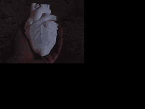 capacitivo coração pulsante biologia anatômica anatomicamente correto modelos anatômicos caixa pulso 3d print model - Mito3D